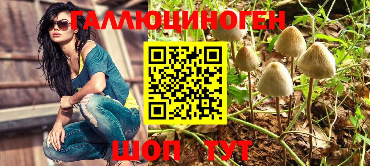 Псилоцибиновые грибы Cubensis  Вход с VPN  Липецк 